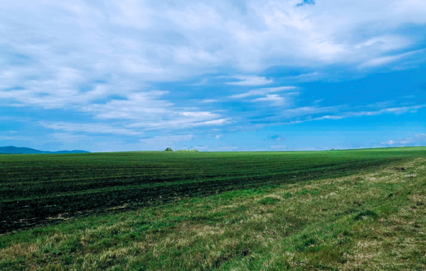 俄羅斯季格里茨科耶農場有限公司9