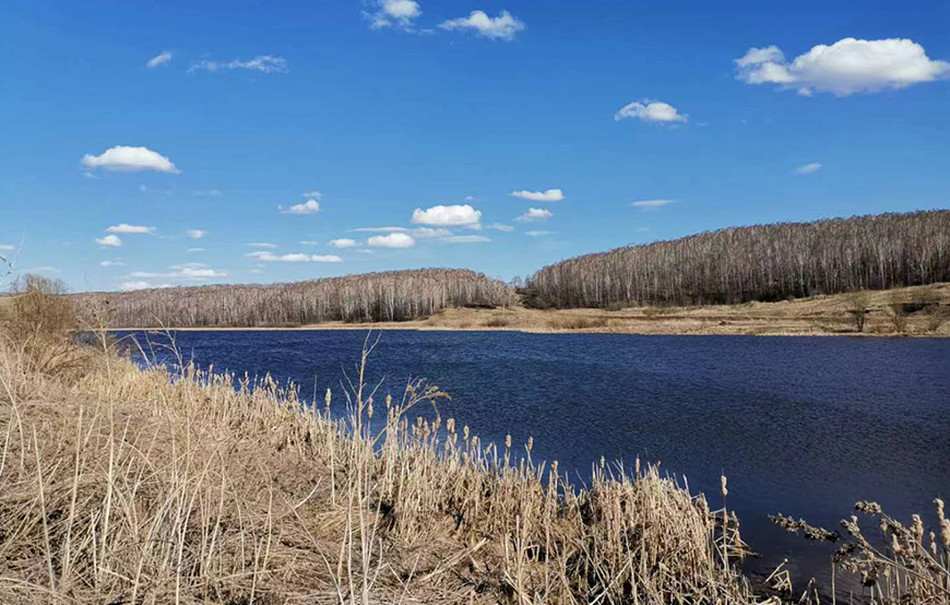 俄羅斯季格里茨科耶農場有限公司6