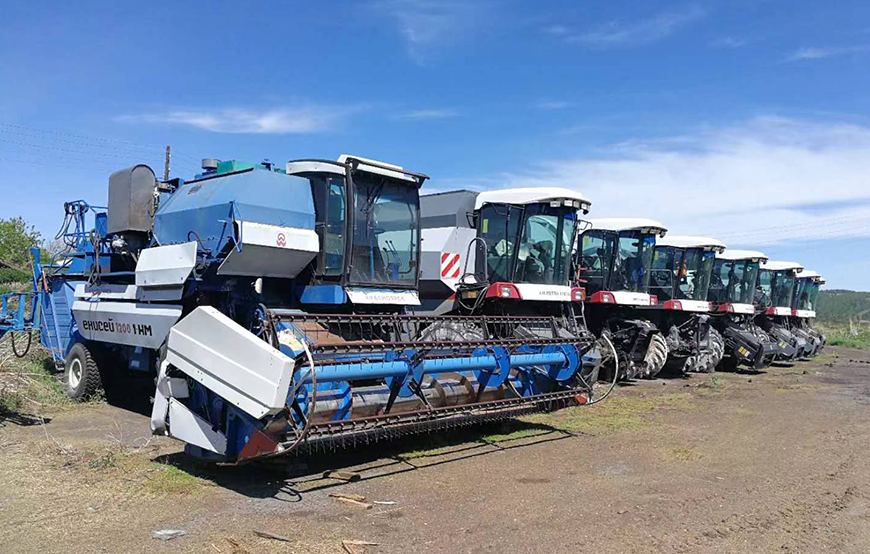 俄羅斯季格里茨科耶農場有限公司8