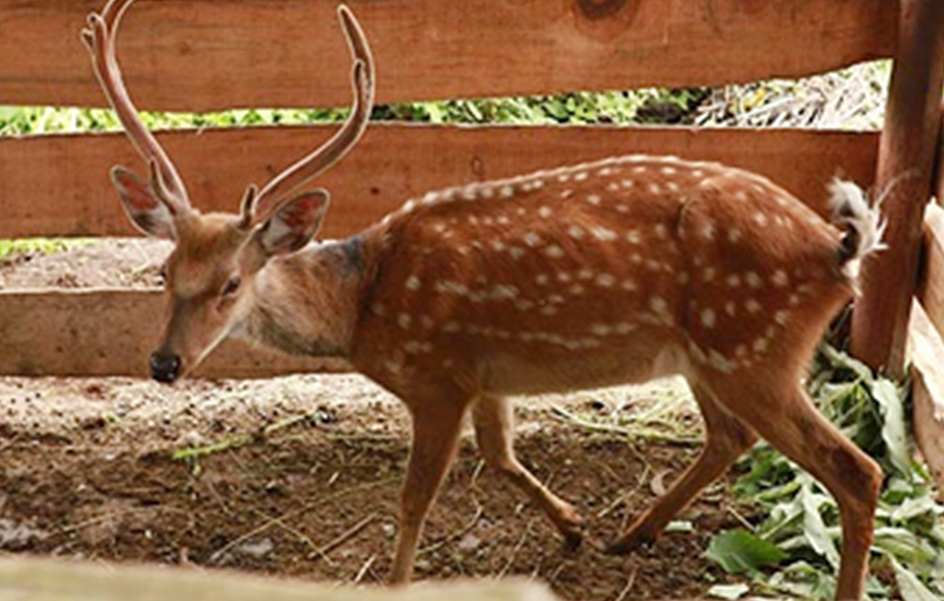 長(zhǎng)春駿隆生態(tài)養(yǎng)殖有限公司3